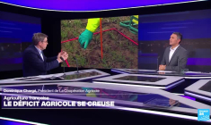 Agriculture française : le déclin de l’excédent commercial agricole