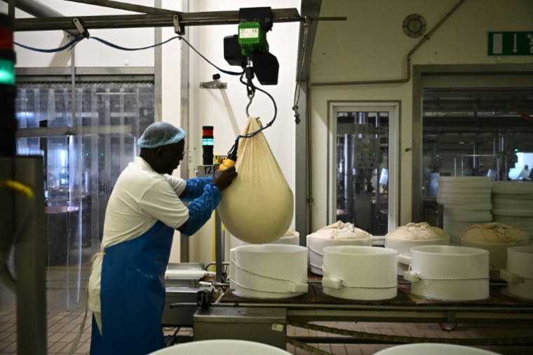 Un employé de l'usine Casearia Castelli, du groupe Lactalis, le 19 avril 2023 à Reggio Emilia, dans le nord de l'Italie  ( AFP / Marco BERTORELLO )