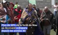 Au Kenya, des chasseurs-cueilleurs expulsés de leurs forêts ancestrales