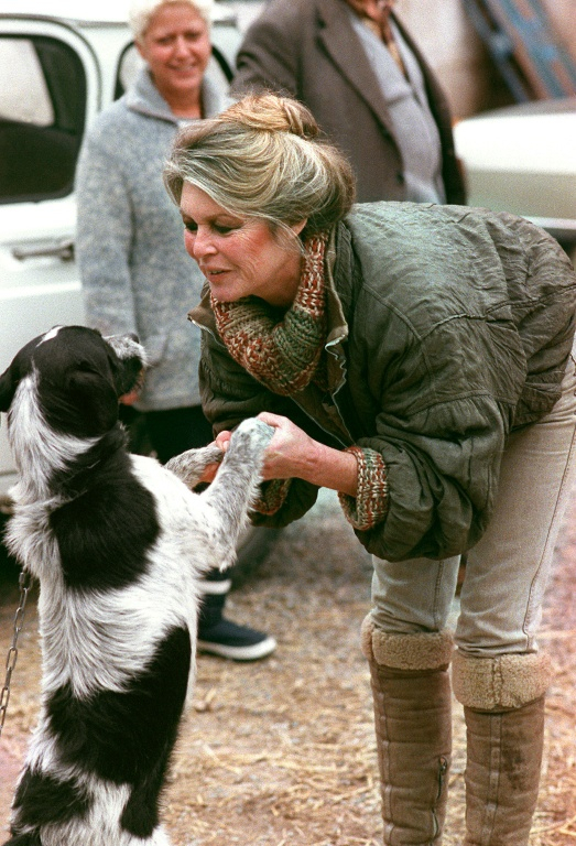 Brigitte Bardot, le 17 janvier 1989 à Cabriès, dans le sud de la France  ( AFP / GERARD FOUET )