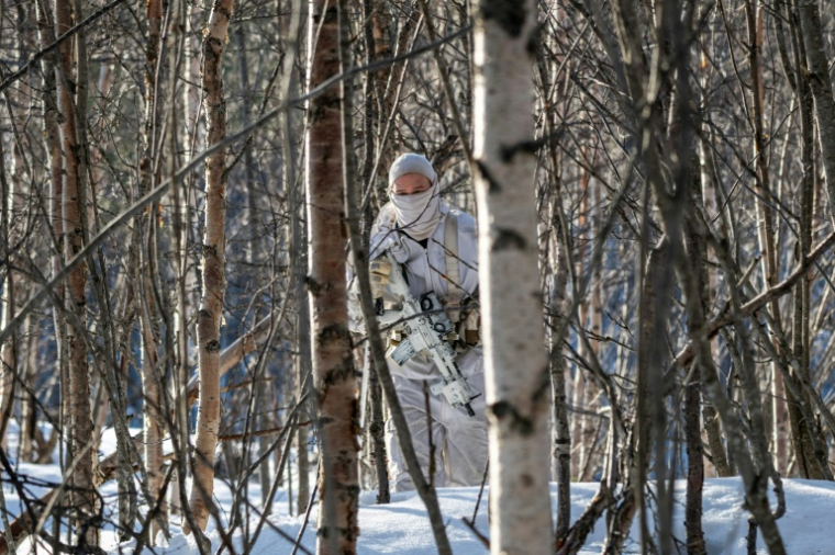Un soldat dans une forêt lors de l’exercice militaire Cold Response de l’Otan, près de Setermoen, le 12 mars 2026 en Norvège ( AFP / John MACDOUGALL )