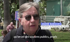 Tribune anti-Bolloré: à Cannes, réactions de festivaliers