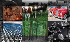 Placements atypiques : séparez le bon grain de l'ivraie. (© DR)