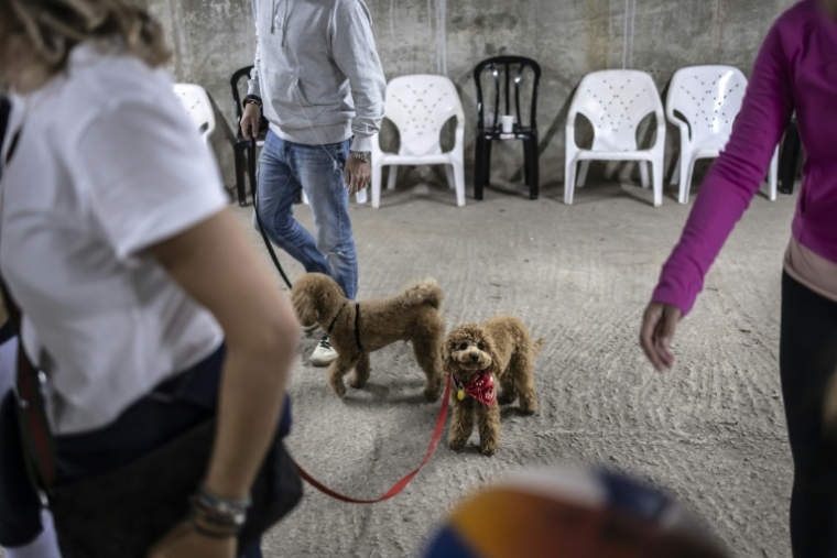 Des chiens dans un parking souterrain servant d'abri anti-bombes lors d'une alerte à Tel Aviv, le 12 mars 2026 en Israël ( AFP / OLYMPIA DE MAISMONT )