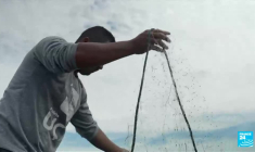 Haïti plongé dans le chaos des gangs : l'ONU appelle la communauté internationale à réagir