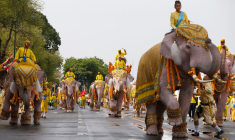 DÉFILÉ D'ÉLÉPHANTS BLANCS EN L'HONNEUR DU ROI DE THAÏLANDE