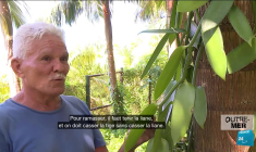 Après le passage de la tempête Philippe, la Guadeloupe sous les eaux