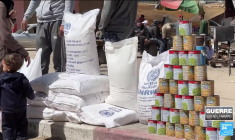 Famine à Gaza : l'aide humanitaire se revend à prix d'or