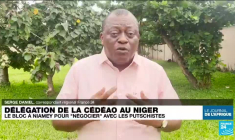Niger : une délégation de la Cédéao est à Niamey pour "négocier" avec les putschistes