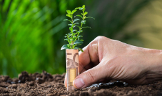 main plantant un billet qui fait pousser une plante (Crédits: Adobe Stock)