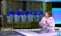 Menace de pandémie : la grippe aviaire s'étend et inquiète l'OMS