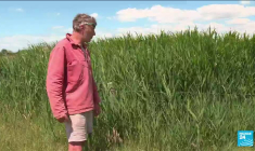 Vague de chaleur en France : l'ensemble de la métropole menacée par la sécheresse