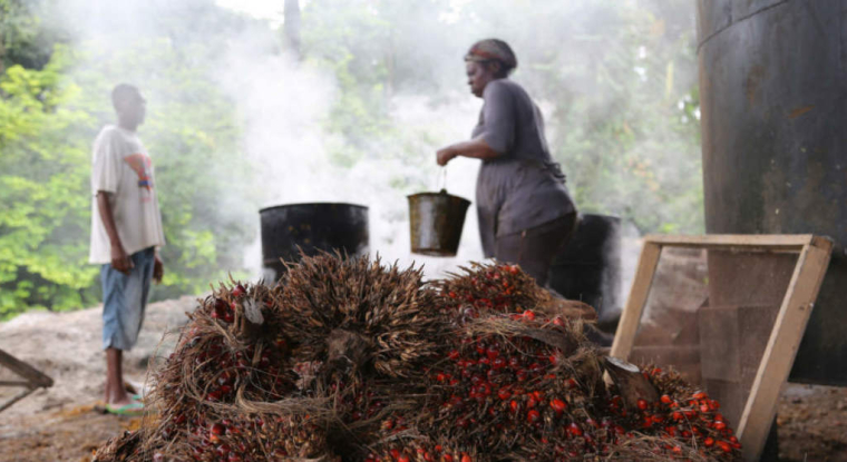 Le contrat d'assurance vie en ligne Ethic Vie peut être qualifié de solidaire puisque 20% des commissions qu'il génère sont reversées chaque année à une association. (© cc CIFOR)