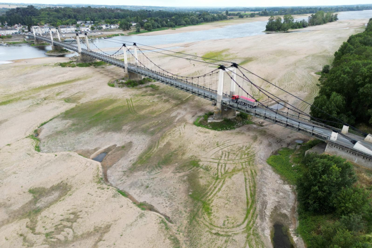 Sécheresse à Saint-Georges-sur-Loire, le 1er août 2023. ( AFP / DAMIEN MEYER )