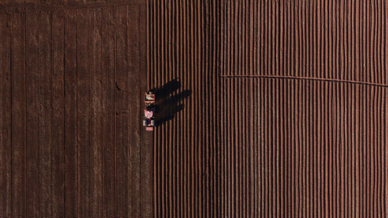 Au début des années 2000, quelque 4.000 des 4.500 grands propriétaires blancs de l'époque avaient été expulsés de leurs terres au profit de fermiers noirs, sur ordre du gouvernement de Robert Mugabe, contraint à la démission en 2017 ( AFP / Zinyange Auntony )