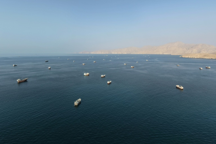 Des navires au mouillage au large de la côte d'Oman, près du détroit d'Ormuz, le 2 octobre 2026 ( AFP / - )