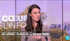 Aurélie Valtat: "On profite autant de l'arbre que lui profite de nous en le protégeant."
