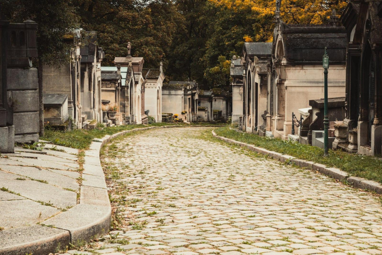 (Crédits photo : Unsplash - Wojciech Rzepka )