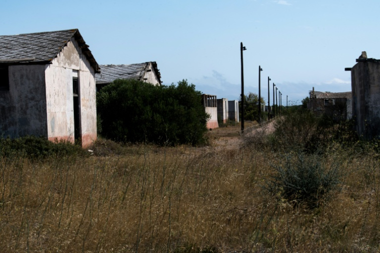 Les baraquements de l'ancien camp de Rivesaltes, le 27 juillet 2024 dans les Pyrénées-Orientales ( AFP / Matthieu RONDEL )