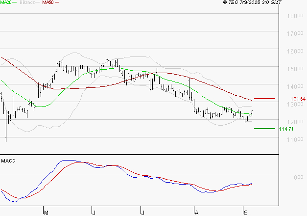 CAPGEMINI : Retour possible sur les supports