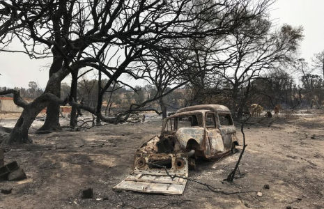 LE BILAN DES FEUX DE FORÊT EN ALGÉRIE S'ALOURDIT À 37 MORTS