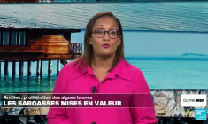 Réchauffement : les outre-mer ne sont pas épargnés et doivent s'adapter