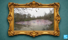 À Saint-Tropez, l’ultime hommage à Brigitte Bardot