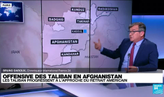 Afghanistan : les Taliban progressent à l'approche du retrait américain