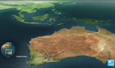 Production de la noix de cajou au Kenya : plusieurs usines ne protègent pas leurs salariées