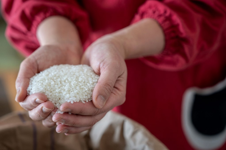Le prix du riz a grimpé de 71% sur un an au Japon (illustration) ( AFP / YUICHI YAMAZAKI )