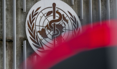 L'Organisation mondiale de la santé (OMS) a alerté sur la lenteur des progrès dans la lutte contre les virus des hépatites B et C ( AFP / Fabrice COFFRINI )