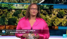 À Tahiti, des moustiques stériles relâchés pour combattre la dengue