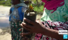 Journée mondiale de l'océan : au Kenya, les pêcheurs locaux subissent la surpêche