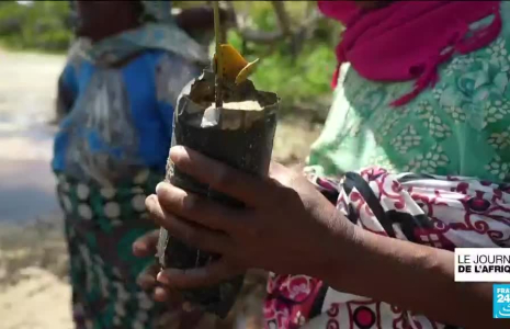 Journée mondiale de l'océan : au Kenya, les pêcheurs locaux subissent la surpêche