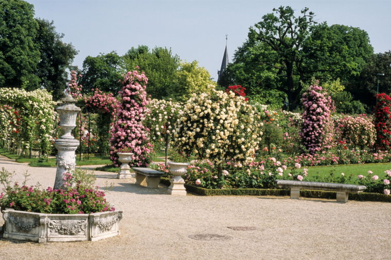 Coup de projecteur sur 5 jardins remarquables d'Ile-de-France. Crédit photo : Adobe stock