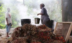 Le contrat d'assurance vie en ligne Ethic Vie peut être qualifié de solidaire puisque 20% des commissions qu'il génère sont reversées chaque année à une association. (© cc CIFOR)