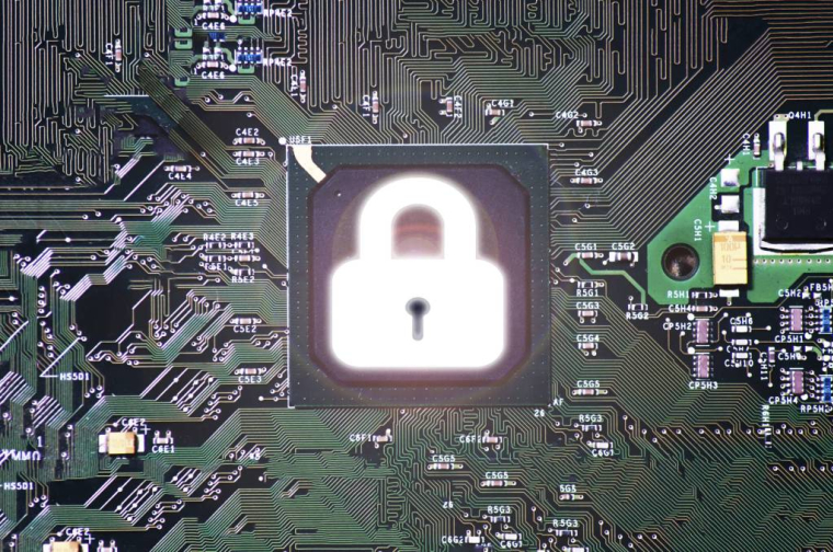 Un marché en pleine croissance