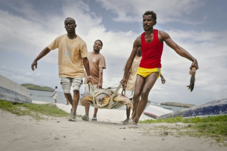 Des pêcheurs qui ont hameçonnée une tortue aident des membres de l'ONG Local Ocean Conservation (LOC) à la transporter vers le centre du LOC où elle sera soignée, le 22 mai 2025 à Watamu, au Kenya ( AFP / Fredrik Lerneryd )