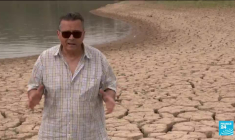 Sécheresse intense en Espagne : la culture d'avocats épuise les ressources