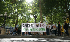 Le succès en juillet d'une pétition contre la loi Duplomb, signée par plus de 2,1 millions de personnes, avait montré l'hostilité aux pesticides d'une bonne partie de l'opinion publique française. ( AFP / Thomas SAMSON )