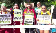 Sommet sur l'Amazonie : une "alliance" contre la déforestation, mais peu d'annonces concrètes