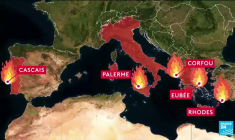 Feux en Grèce, Italie, Portugal : l'Europe du Sud touchée par des incendies meurtriers