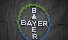 ( AFP / TOBIAS SCHWARZ )