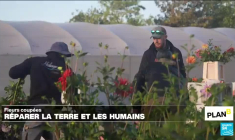 Fleurs coupées : réparer la terre, réparer les humains