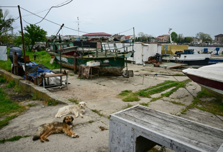 Des bateaux de pêche à Sulina en Roumanie le 9 mai 2026 ( AFP / Daniel MIHAILESCU )