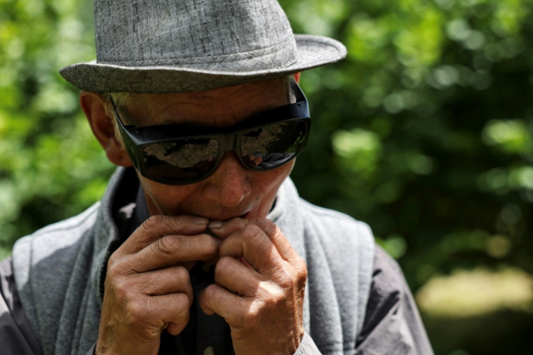 L'agriculteur bhoutanais Dawa Dhendup, 82 ans, casse une noisette, le 29 août 2026 dans son exploitation à Thimphou  ( AFP / Niharika KULKARNI )