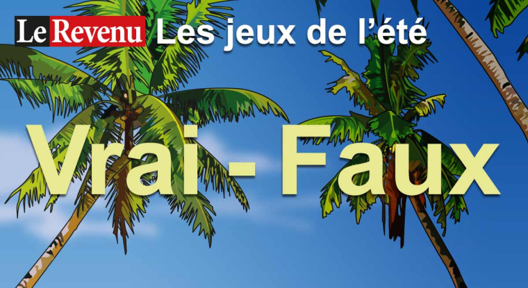 Découvrez un nouveau «vrai-faux» du Revenu. (© DR)