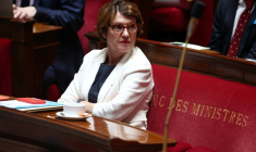 La ministre de l'Agriculture Annie Genevard à l'Assemblée nationale le 8 juillet 2025 ( AFP / Guillaume BAPTISTE )