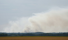 La fumée d'un incendie dans la forêt de Fontainebleau, à Noisy-sur-École, le 14 juillet 2026 en Seine-et-Marne ( AFP / Dimitar DILKOFF )