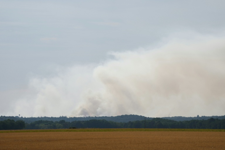 La fumée d'un incendie dans la forêt de Fontainebleau, à Noisy-sur-École, le 14 juillet 2026 en Seine-et-Marne ( AFP / Dimitar DILKOFF )